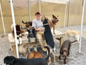 Woman sitting with dogs outside at doggy daycare