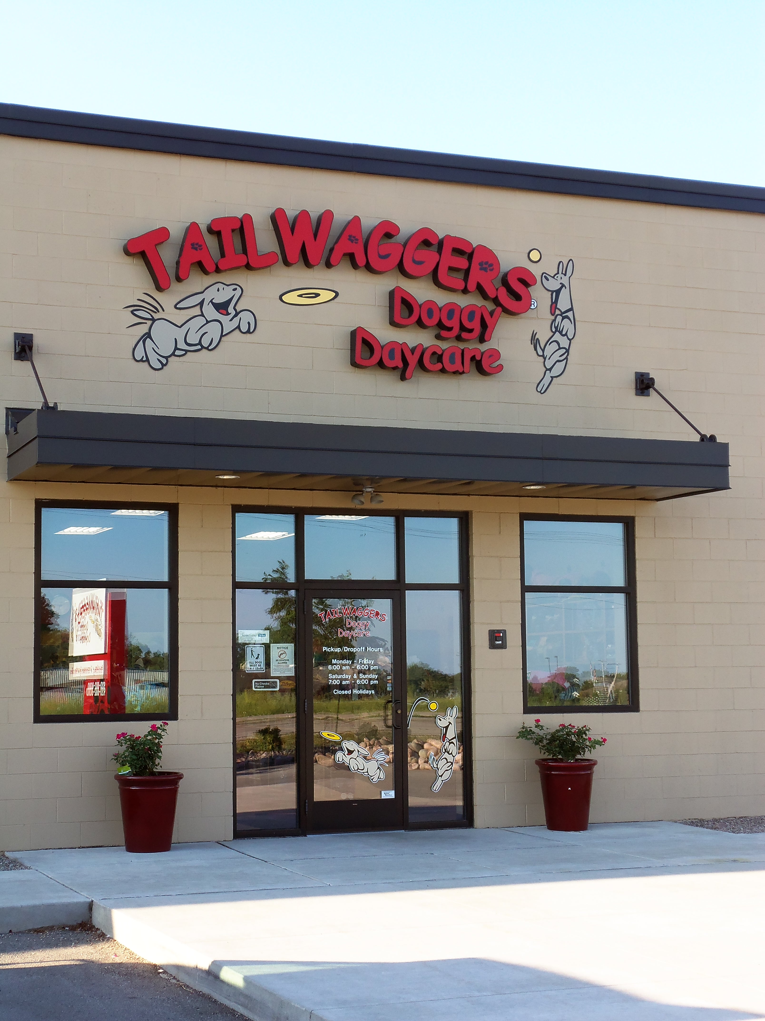 Greenville Dog Daycare, Boarding, & Grooming | TailWaggers