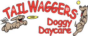 Cincinnati - tailwaggers logo 0619
