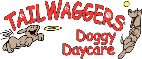 Little Chute Webcam Notice - tailwaggers logo 0619