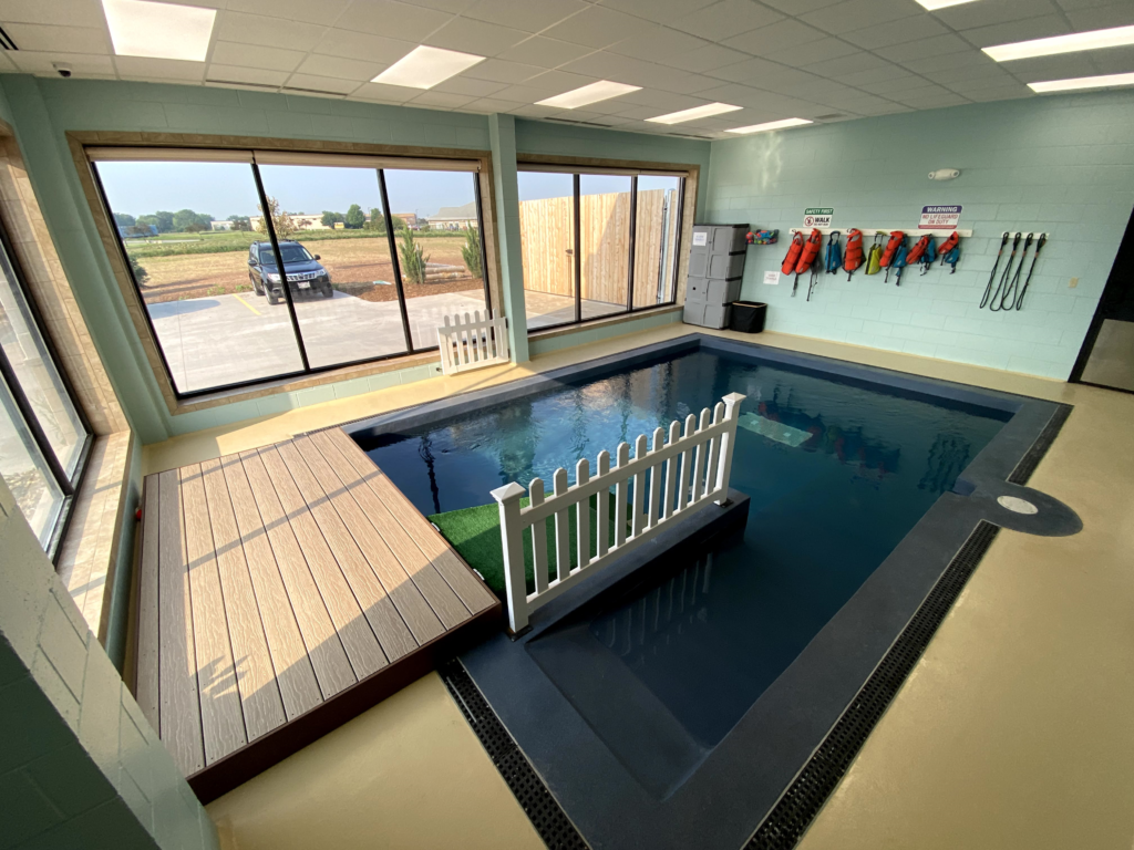Indoor pool room at TailWaggers in De Pere