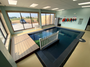 Indoor pool at doggy daycare