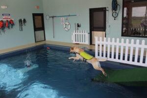 Dog Pool in De Pere, WI